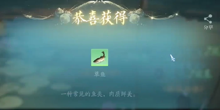 钓鱼方法