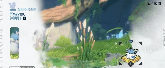 河狸仔介绍