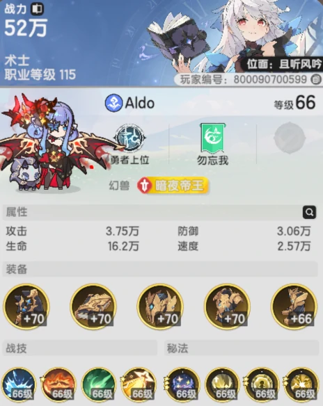 萌新必看术士技能搭配