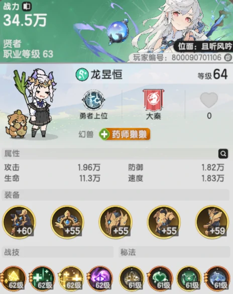 贤者技能搭配