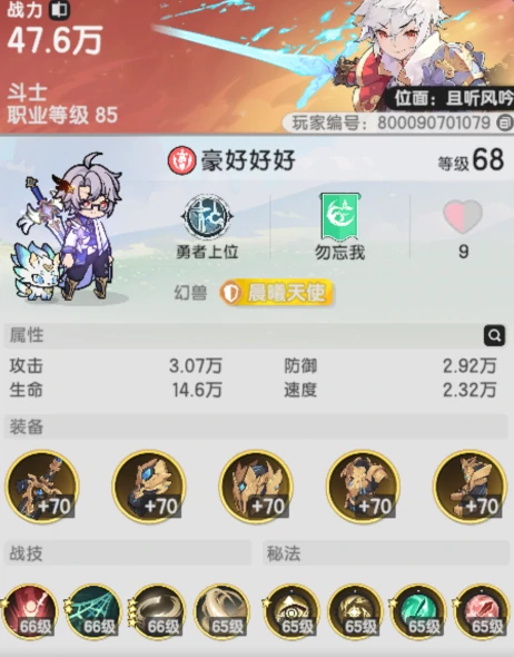 斗士技能搭配分享