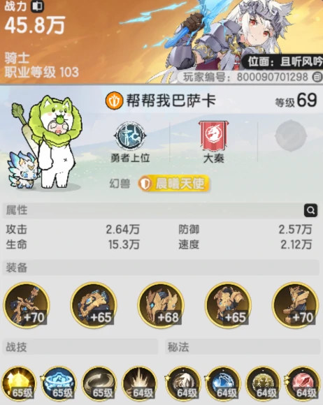 萌新必看骑士技能搭配