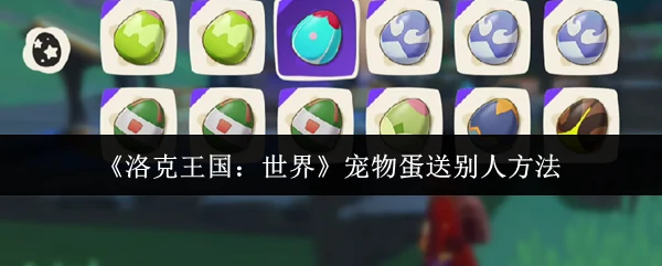 宠物蛋送别人方法