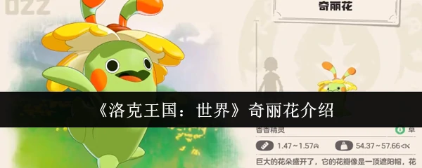 奇丽花介绍
