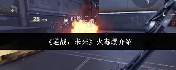 火毒爆介绍