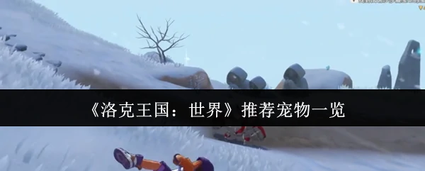 推荐宠物一览