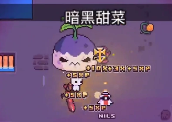 找到暗黑甜菜方法