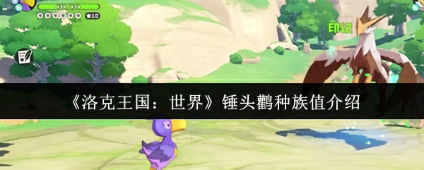 锤头鹳种族值介绍