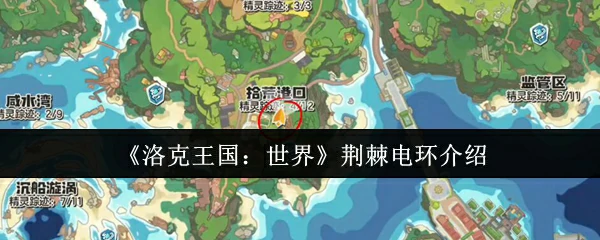 荆棘电环介绍