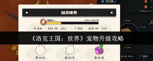 宠物升级攻略