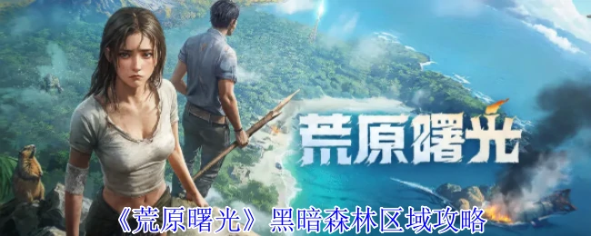 黑暗森林区域攻略