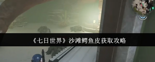沙滩鳄鱼皮获取攻略