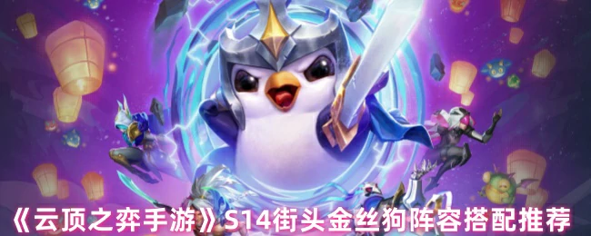 S14街头金丝狗阵容搭配推荐