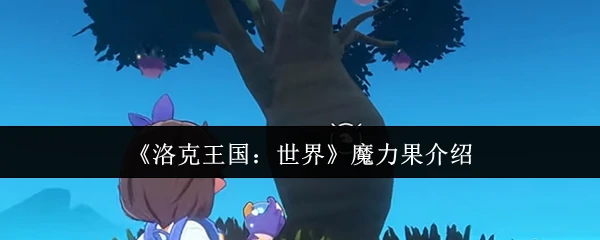 魔力果介绍