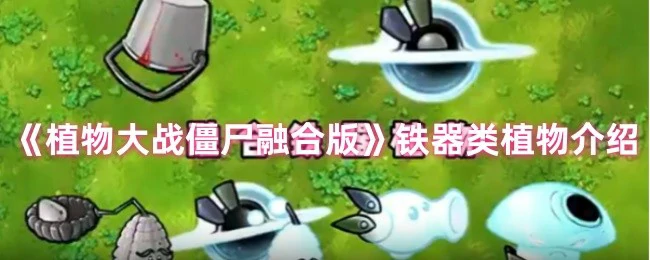 铁器类植物介绍