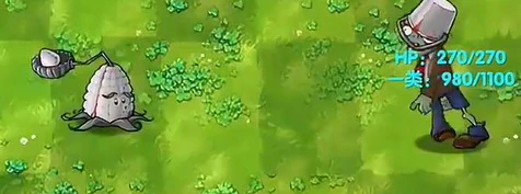 铁器类植物介绍