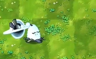 铁器类植物介绍