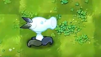 铁器类植物介绍