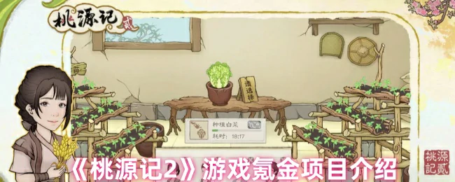 游戏氪金项目介绍