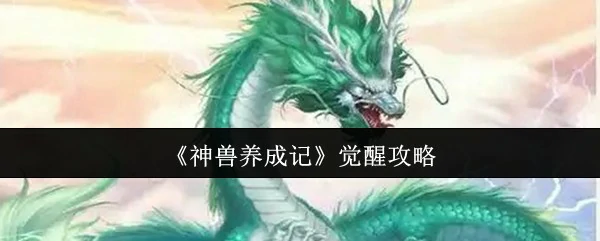 觉醒攻略
