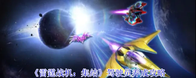 驾驶员养成攻略