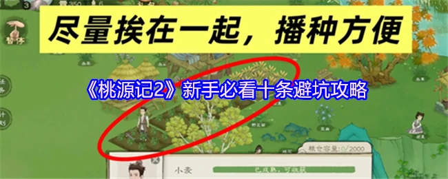 新手必看十条避坑攻略