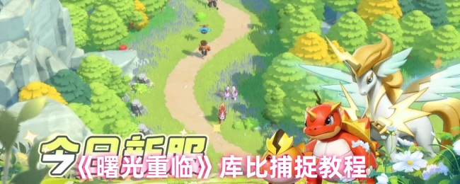 库比捕捉教程