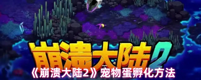 宠物蛋孵化方法