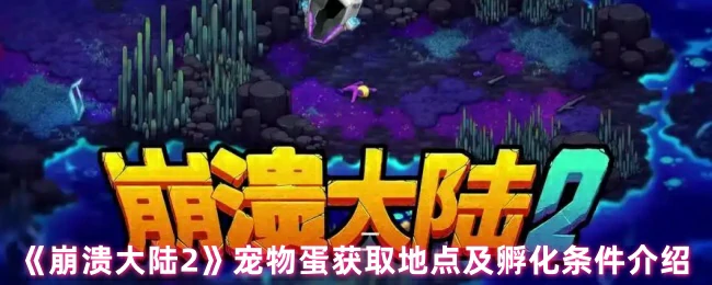宠物蛋获取地点及孵化条件介绍