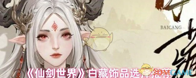 白藏饰品选择推荐