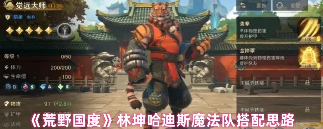 林坤哈迪斯魔法队搭配思路