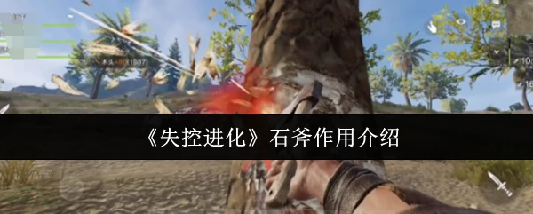 石斧作用介绍