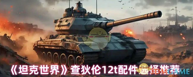 查狄伦12t配件选择推荐