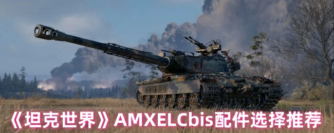 AMXELCbis配件选择推荐