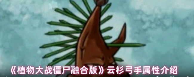 云杉弓手属性介绍