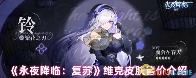 维克皮肤售价介绍