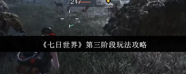 第三阶段玩法攻略