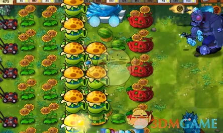 杂交版联动植物汉堡王介绍