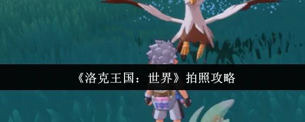 拍照攻略