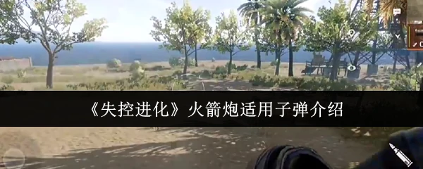 火箭炮适用子弹介绍