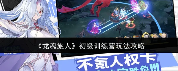 初级训练营玩法攻略