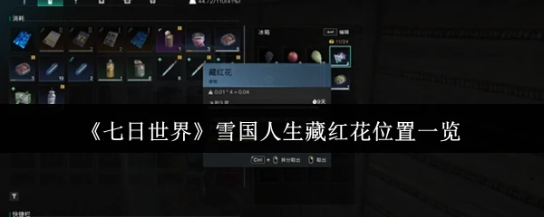 雪国人生藏红花位置一览