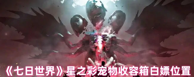 星之彩宠物收容箱白嫖位置