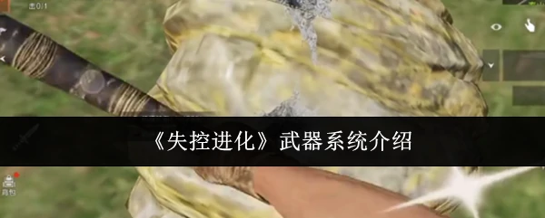 武器系统介绍