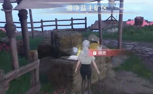 泡泡飘游时第1天攻略