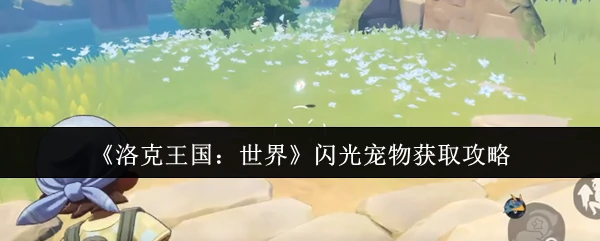 闪光宠物获取攻略