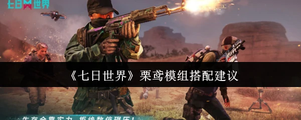 栗鸢模组搭配建议