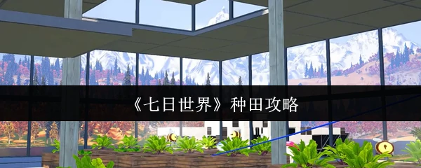 种田攻略