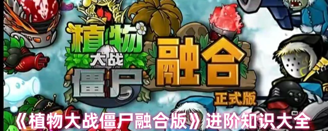 进阶攻略大全