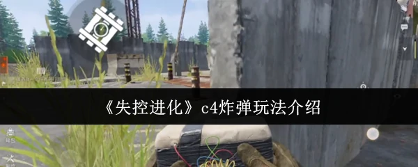 c4炸弹玩法介绍
